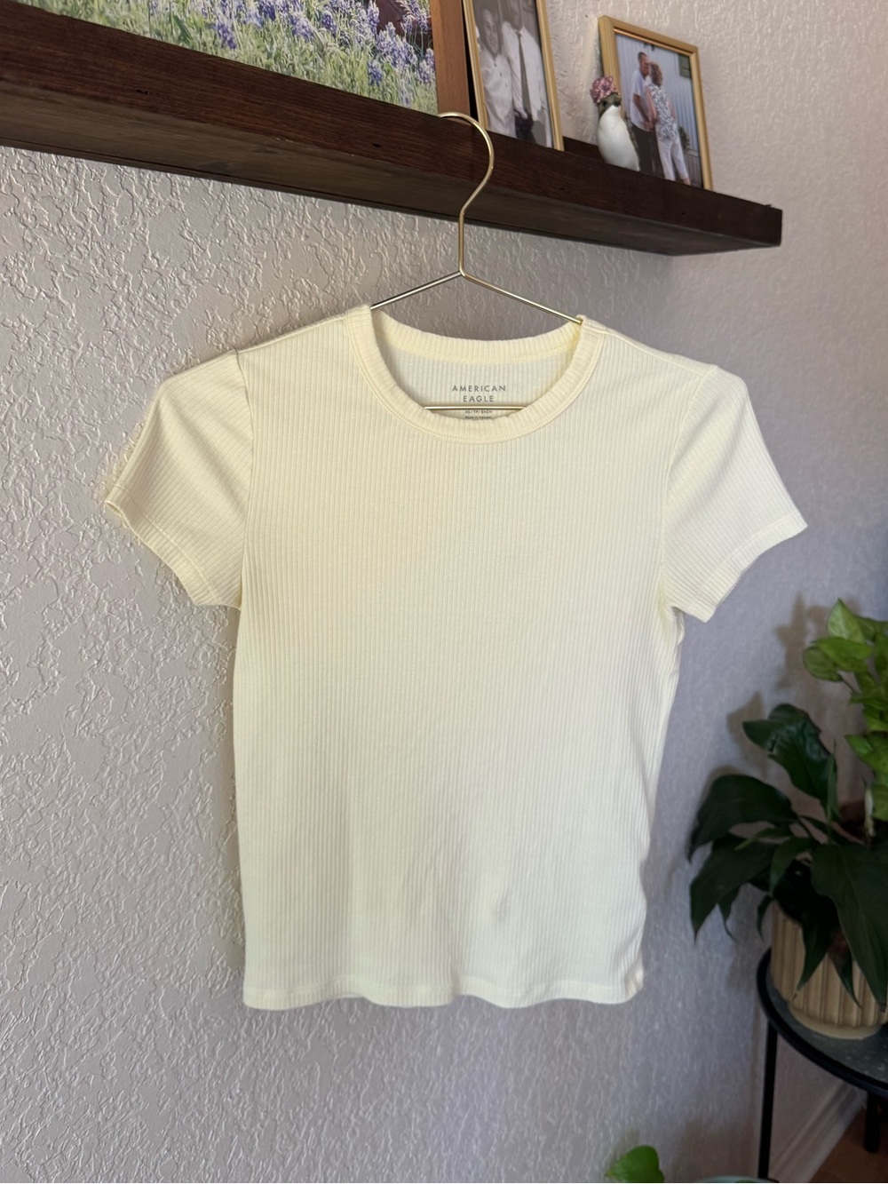 American Eagle Baby Tee